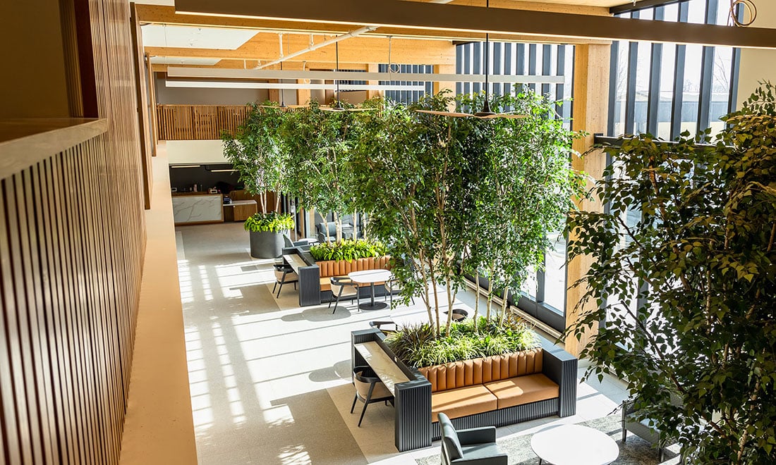 21662-0-20251124034720